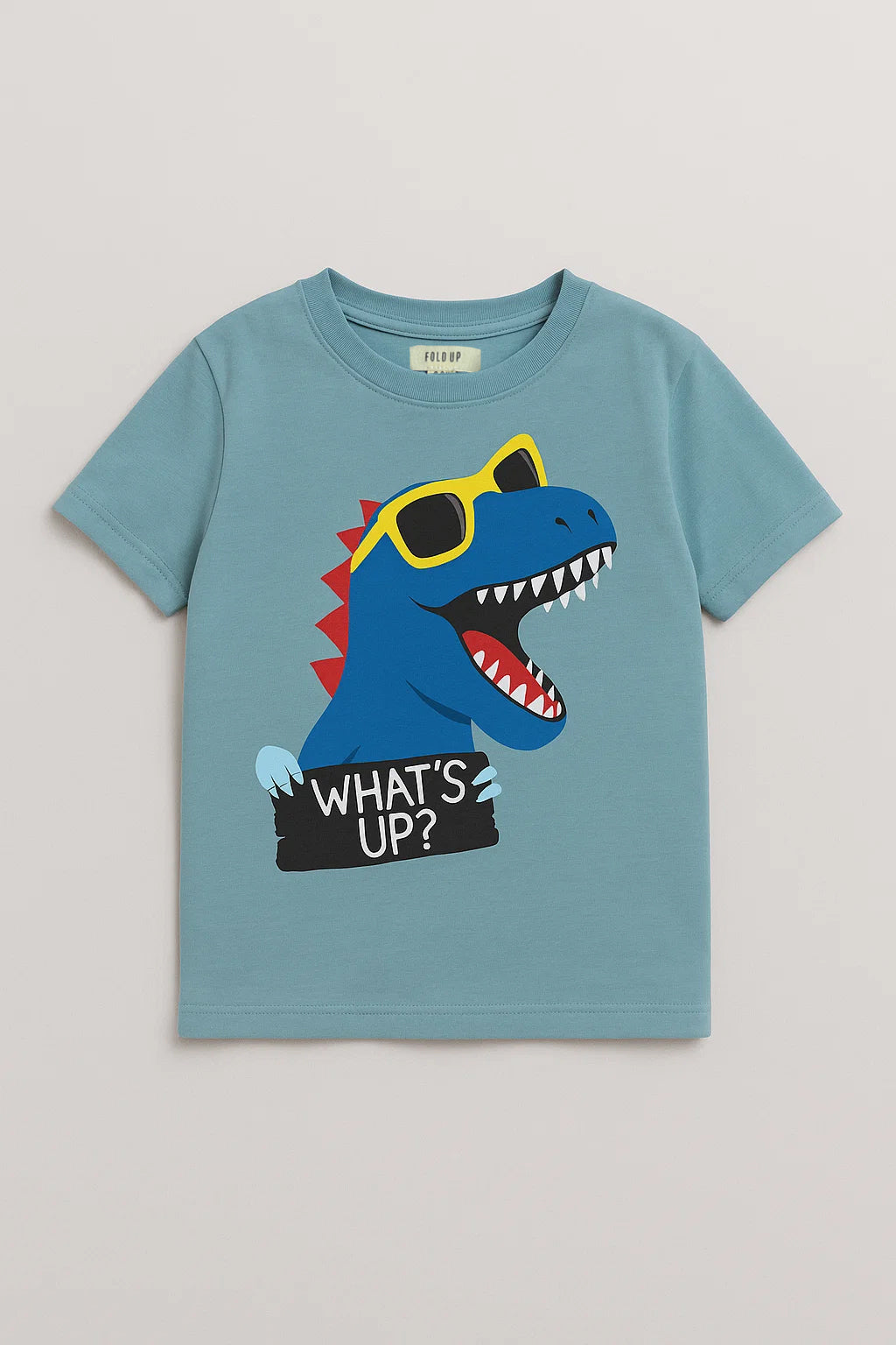 KIDS BOYS T-SHIRT (2 to 14 Years)